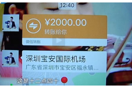 尼玛为什么选择专业追讨公司来处理您的债务纠纷？