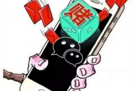 尼玛尼玛讨债公司服务